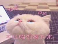 海口秀英伟斌商贸中心