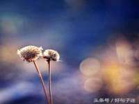 海口秀英伟斌商贸中心