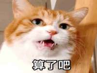海口秀英伟斌商贸中心