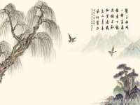 海口秀英伟斌商贸中心