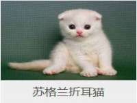 海口秀英伟斌商贸中心