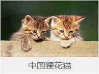 海口秀英伟斌商贸中心