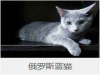 海口秀英伟斌商贸中心