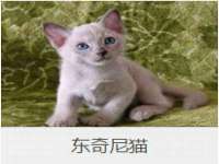 海口秀英伟斌商贸中心