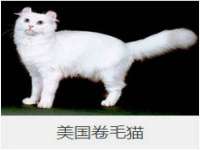 海口秀英伟斌商贸中心