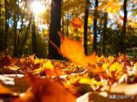 海口秀英伟斌商贸中心