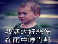 海口秀英伟斌商贸中心