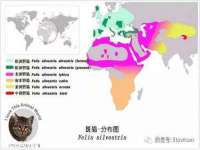 海口秀英伟斌商贸中心