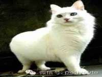 海口秀英伟斌商贸中心