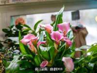 海口秀英伟斌商贸中心
