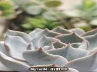 海口秀英伟斌商贸中心