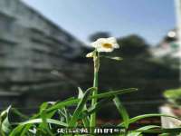 海口秀英伟斌商贸中心