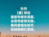 海口秀英伟斌商贸中心