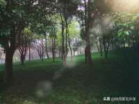 海口秀英伟斌商贸中心