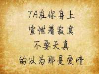 海口秀英伟斌商贸中心