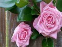 海口秀英伟斌商贸中心