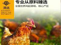 海口秀英伟斌商贸中心