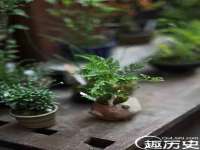 海口秀英伟斌商贸中心