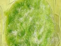 海口秀英伟斌商贸中心