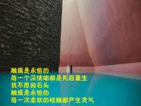 海口秀英伟斌商贸中心