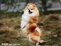 海口秀英伟斌商贸中心