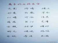 海口秀英伟斌商贸中心